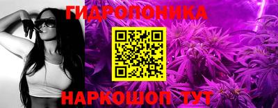 мяу мяу мука Краснознаменск