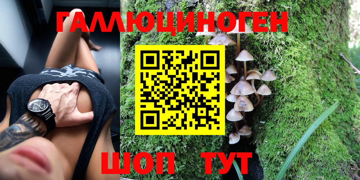 Избербаш  Галлюциногенные грибы Cubensis  Вход с VPN 